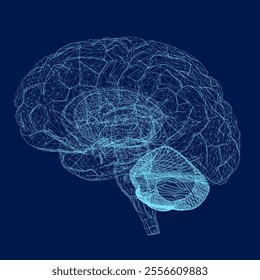 Vector illustration of wireframe human brain from blue lines. 3D