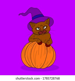 vector illustration of a witch cat graphic holding a pumpkin cartoon character style flat design
