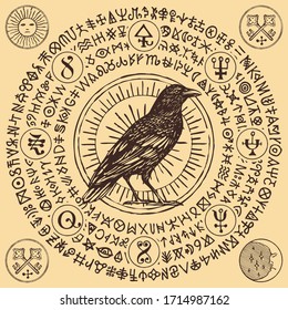 Vector illustration with witchcraft raven or wise black raven in vintage style. Handwritten meaningless signs, magic runes, occult symbols written in a circle