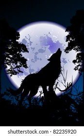 vector illustration of  wolf