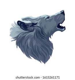 Vector illustration of wolf. Detailed artwork