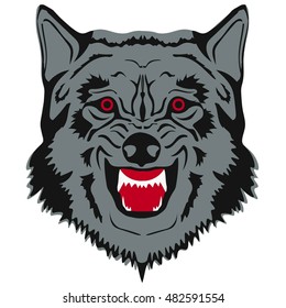 Vector illustration. wolf grin.Wolf bares its teeth