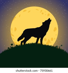 Vector illustration, wolf howling at moonlight, card concept.