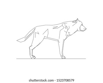 Vector illustration of a wolf isolated on white background
