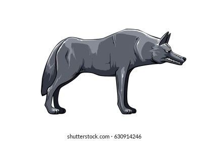 Vector illustration of wolf on white background