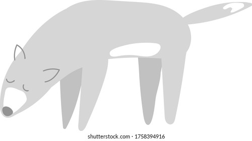 Vector illustration of a wolf that takes a footprint in flat style on a white background. Wild animal illustration