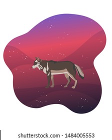 Vector illustration a wolf walking in a space scene
