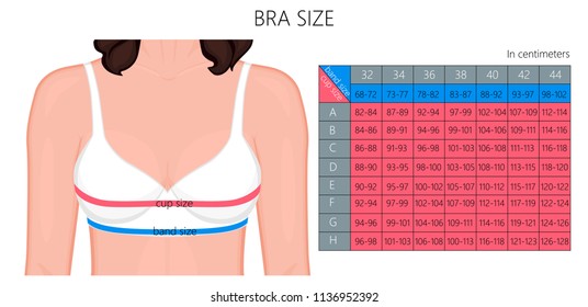 Breast Size Image Chart