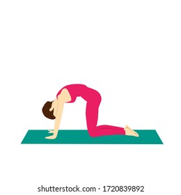 Vector illustration of woman doing yoga exercise