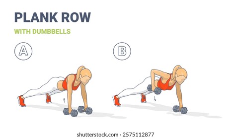 Vector illustration of a woman dumbbell plank row exercise in two steps, drawn in a clean outline style with colors and shadows. A perfect guide for fitness training, education, and workout materials.