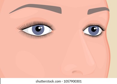 Vector illustration. Woman eyes and nose. Close-up and macro view. For advertising and medical publications. EPS 10.