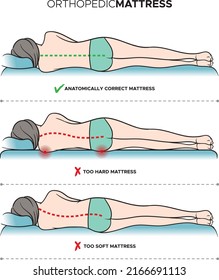 Vector Illustrations Show Some Positions Body Stock Vector (Royalty ...