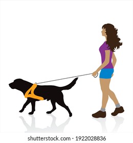 Vector illustration of woman who walk with dog. Symbol of pet and animal.