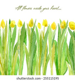  Vector illustration for Woman's Day and different holidays. Cute summer and spring card. Floral pattern with watercolor flowers on the white background. Isolated tulips