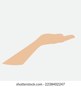 Ilustración vectorial de la mano de la mujer