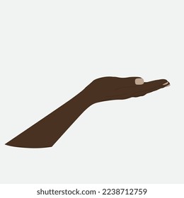 Ilustración vectorial de la mano de la mujer