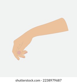 Vector illustration of woman's hand