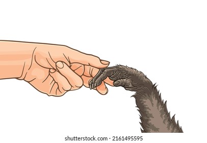 Vector illustration of woman's holding monkey hand in hoping for help,touching monkey's paw,friendship,training,risk of monkeypox,isolated on white,infectious disease,virus from animal to human.