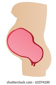 Vector illustration   in a womb of mother