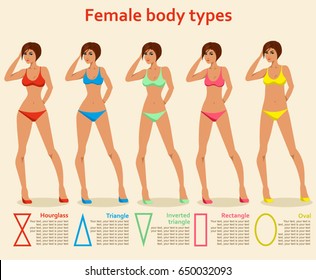 Vector illustration of women's figures. Different body types. Fashion Figures