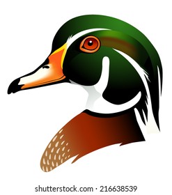 Vector Illustration Of Wood Duck