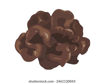 Vector illustration of wood ear mushroom