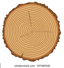Vector illustration of a wood rings.Tree rings. Abstract background. Painted wood texture.