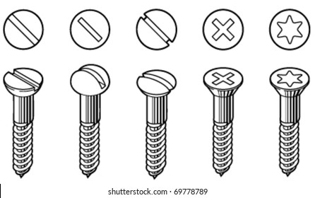 Vector illustration of wood screws