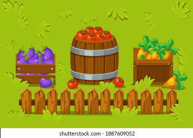 Ilustración vectorial de cajas de madera y un barril con verduras. Un prado con hierba y una cerca de madera.