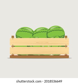 Vector illustration of the wooden vegetable box with holes and watermelons. Fruit drawer front view. Crate isolated on white background. Box for storage and transportation of food. Flat style design