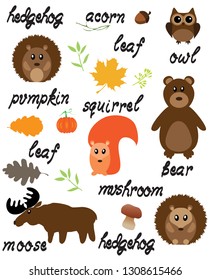 vector illustration of woodland animals nature background with words. 