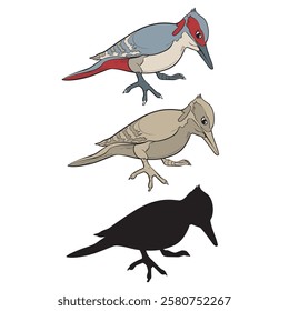 vector illustration of a woodpecker with a variety of styles