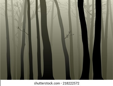 Vector illustration of woods