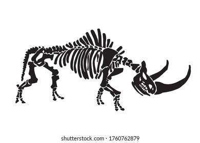 Vector illustration of woolly rhino skeleton isolated on white,graphical fossils,paleonthology