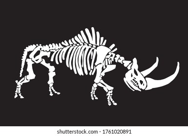 Vector illustration of woolly rhino skeleton isolated on black,graphical fossils,paleonthology