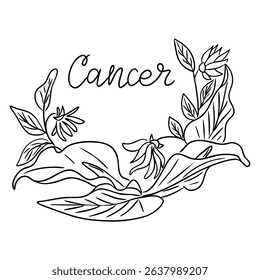 Vector illustration of the word Cancer with floral leaves and blooming flowers on white background. Zodiac sign concept reflecting intuition, sensitivity and natural elegance in hand drawn style