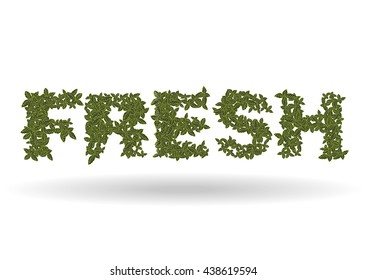 Vector illustration with word - Fresh. Word consist from Mint leaves.