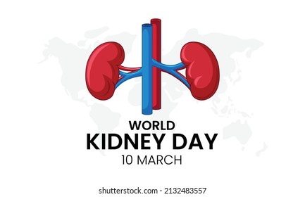 Vector illustration for World Kidney Day