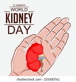 Vector illustration for World Kidney Day.