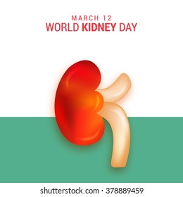Vector illustration for World Kidney Day.