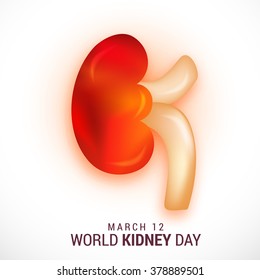 Vector illustration for World Kidney Day.