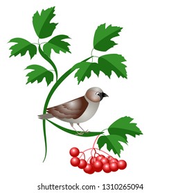 vector illustration of world sparrow day