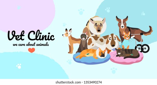 Vector illustration of wounded, after surgery and handicapped cats and dogs.Creative banner, flyer or landing page for vet clinic or veterinary hospital.