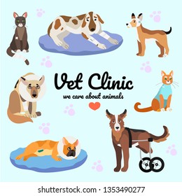 Vector illustration of wounded, after surgery and handicapped cats and dogs.Creative banner or flyer for vet clinic or veterinary hospital.