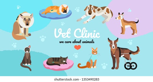 Vector illustration of wounded, after surgery and handicapped cats and dogs.Creative banner, flyer or landing page for vet clinic or veterinary hospital.