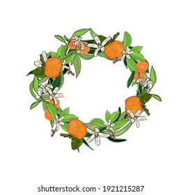 Vector illustration of a wreath of tangerines, leaves, blooming citrus fruits on a white background. Orange wedding wreath with flowers for florists, textiles, wrapping paper, designer blank