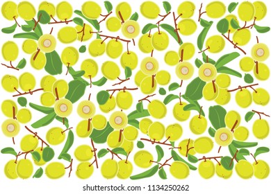 vector illustration of ximenia and leaf design background white and fruit EPS10