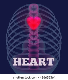 Vector illustration of xray of human showing glowing pink heart.