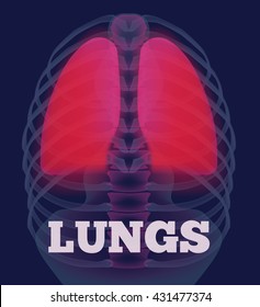 Vector illustration of xray of human showing glowing pink lungs.