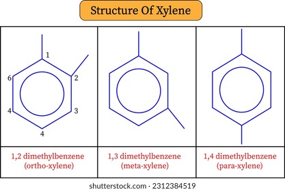  vector illustration of Xylene structure 